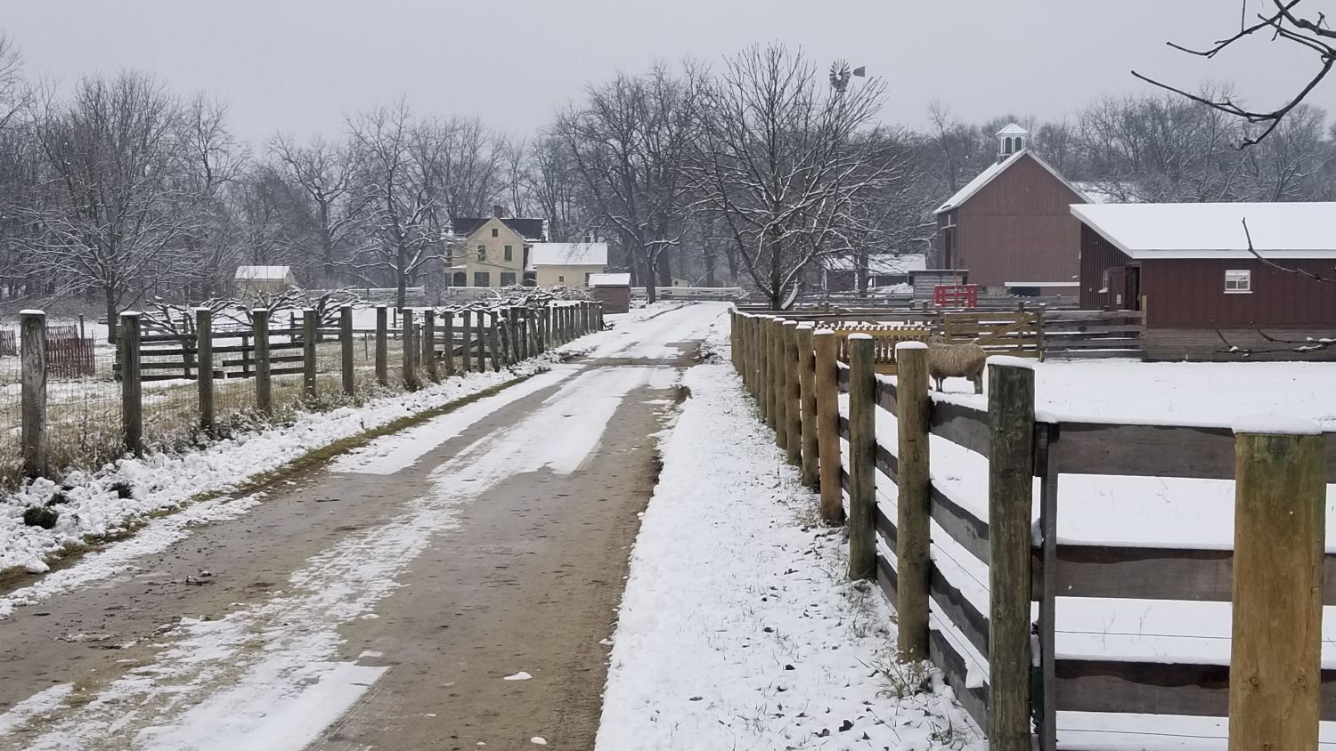 Timber Ridge Forest Preserve 